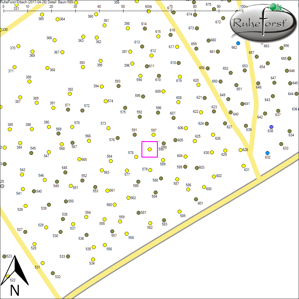 Detailkarte zu Baum 590