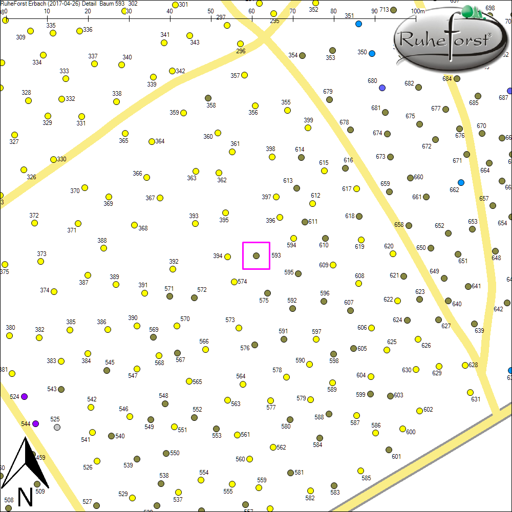 Detailkarte zu Baum 593