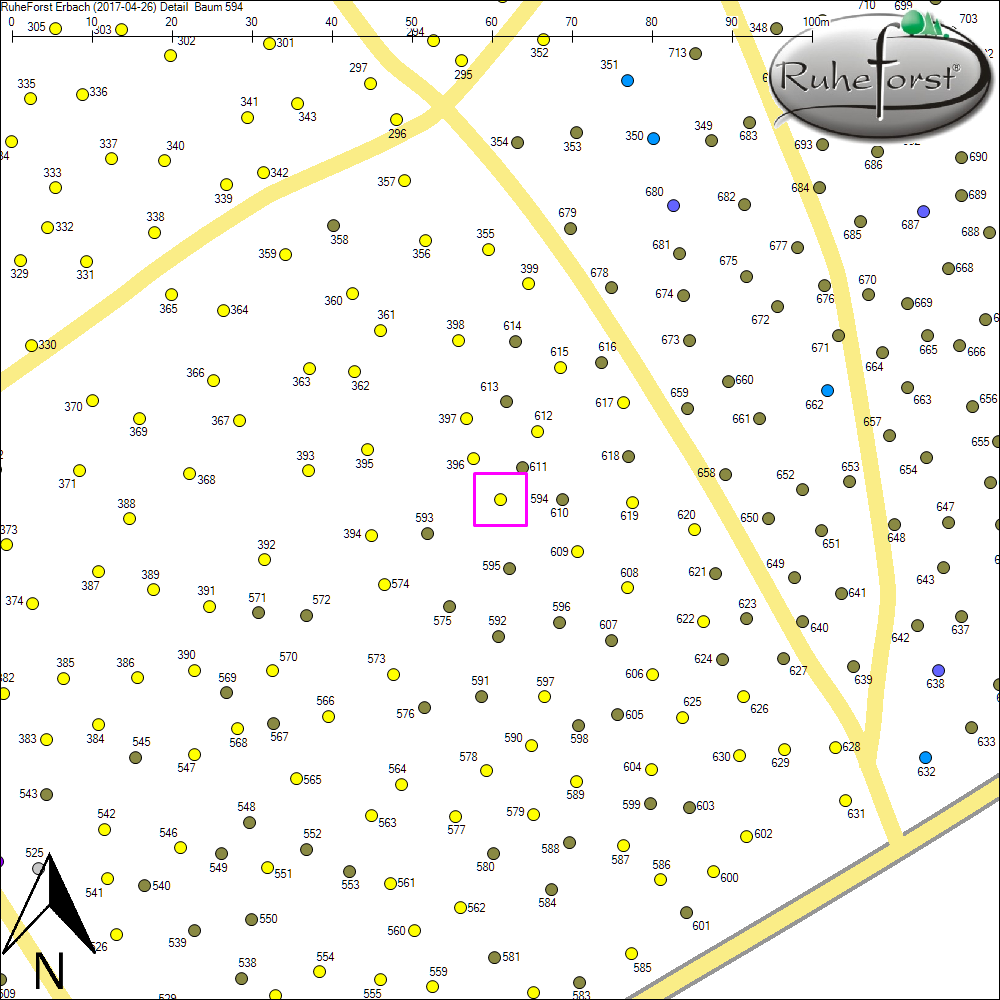 Detailkarte zu Baum 594