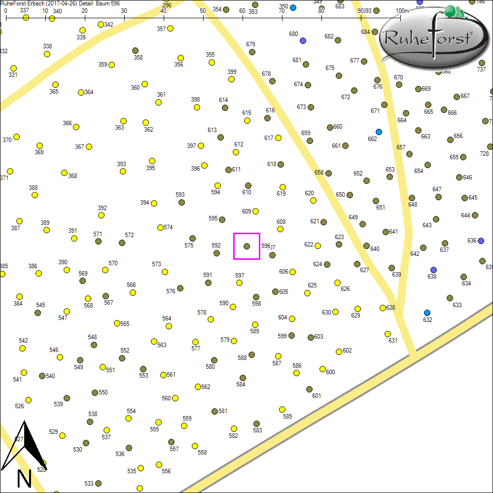 Detailkarte zu Baum 596