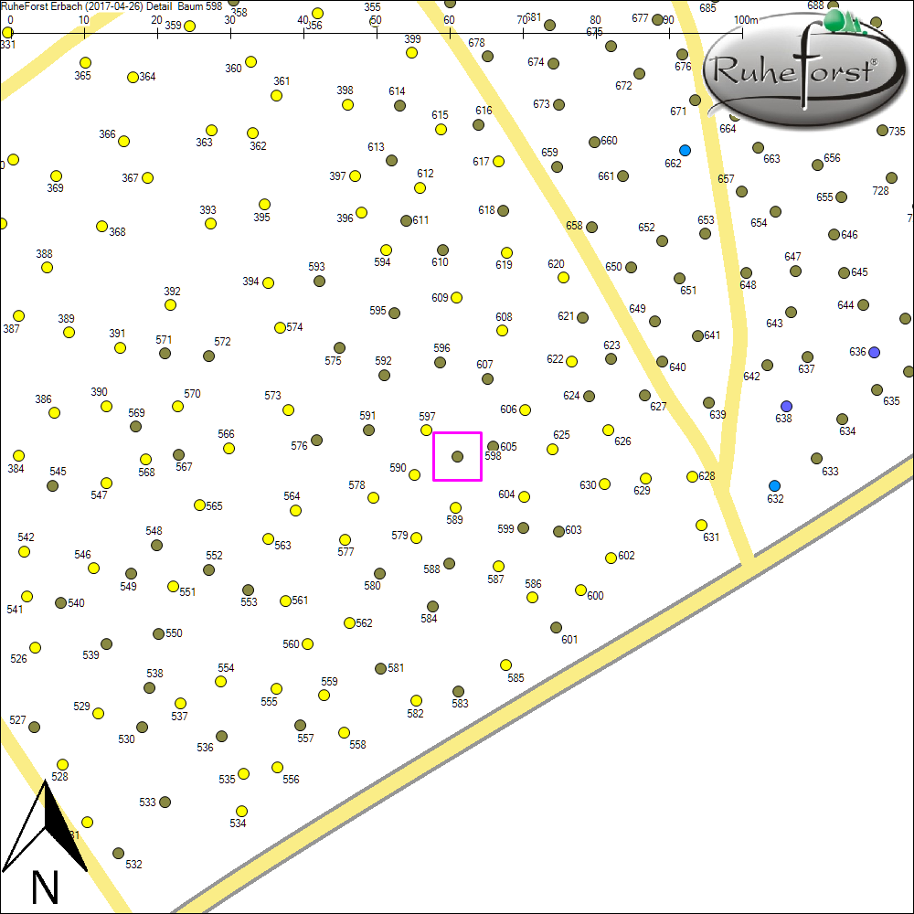 Detailkarte zu Baum 598
