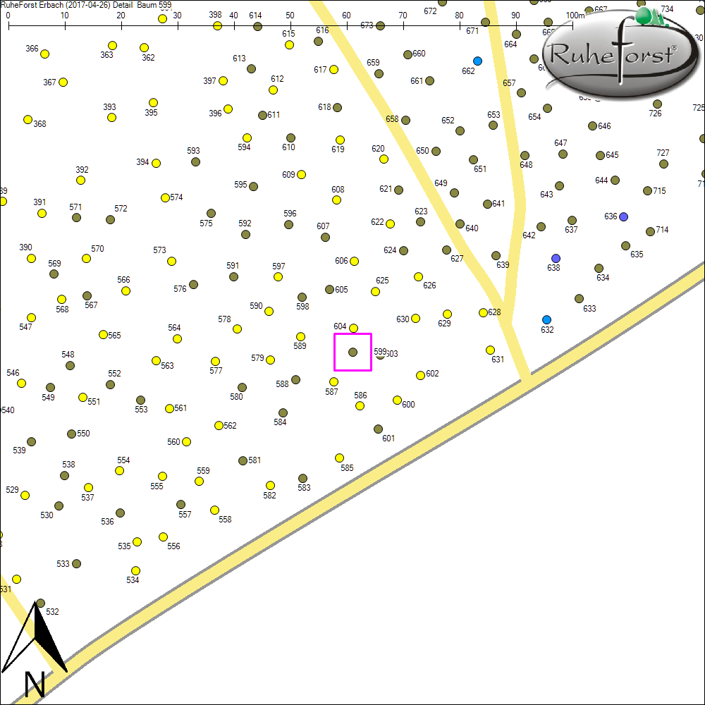 Detailkarte zu Baum 599