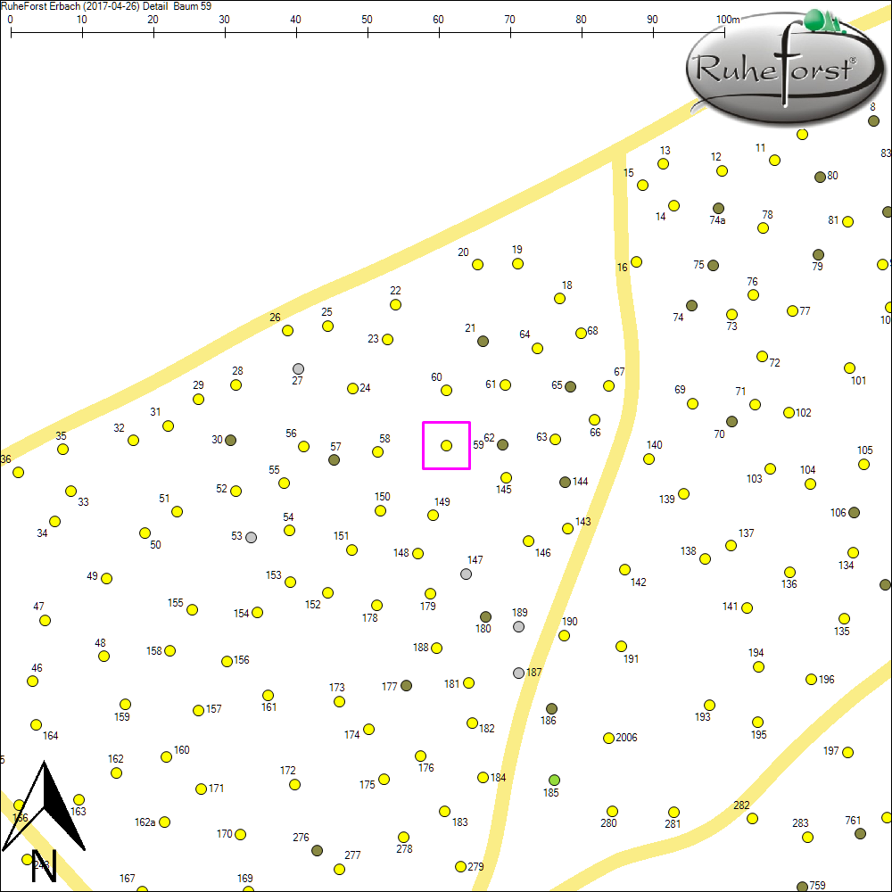 Detailkarte zu Baum 59