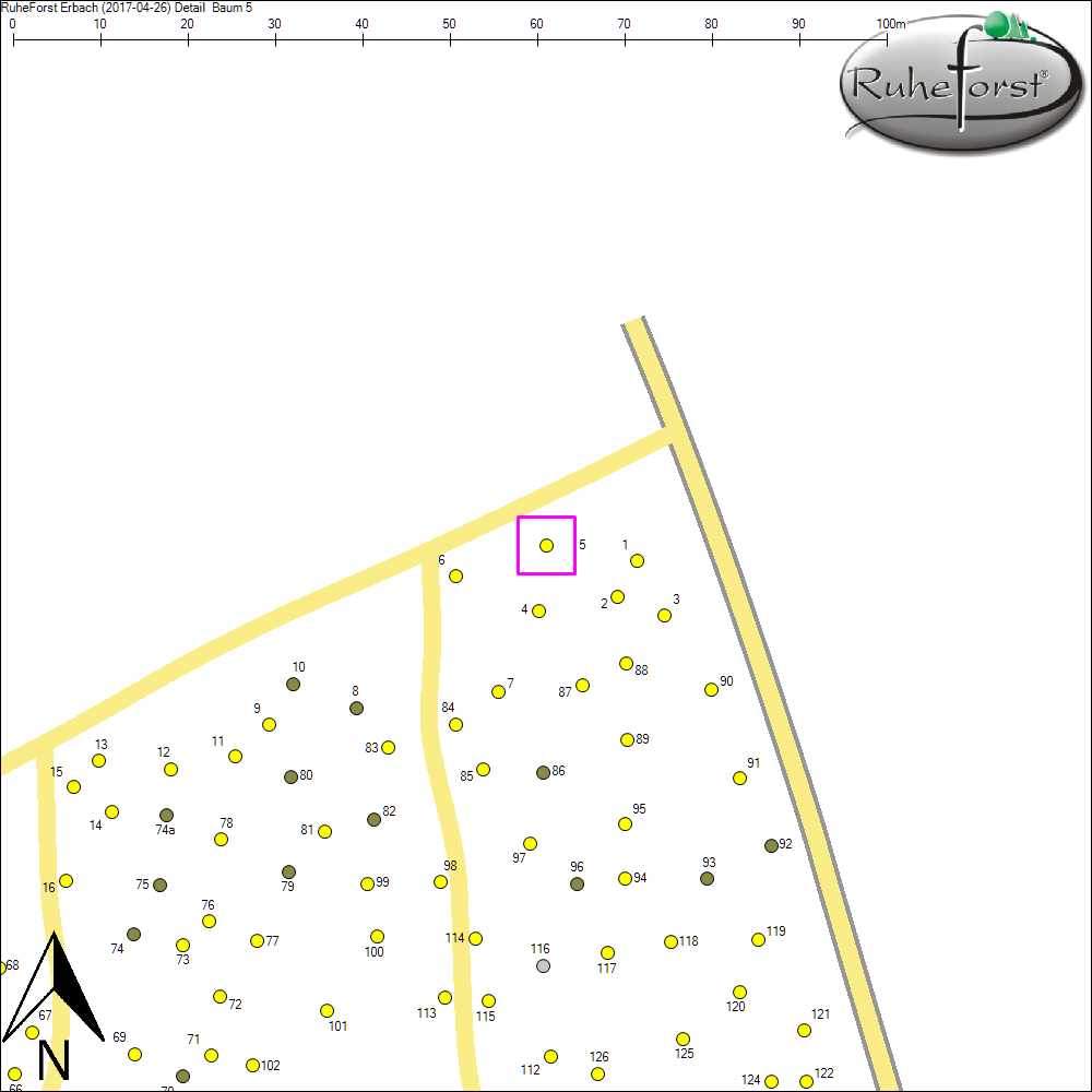 Detailkarte zu Baum 5