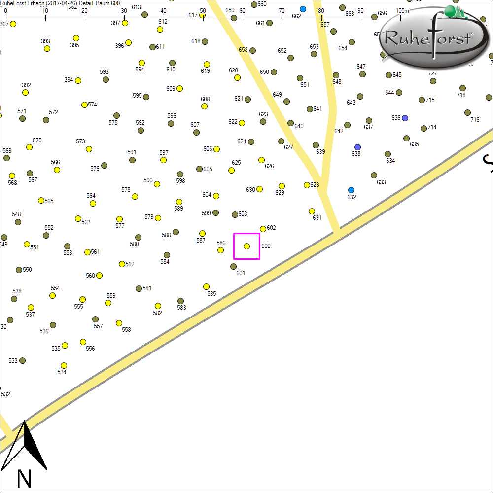 Detailkarte zu Baum 600