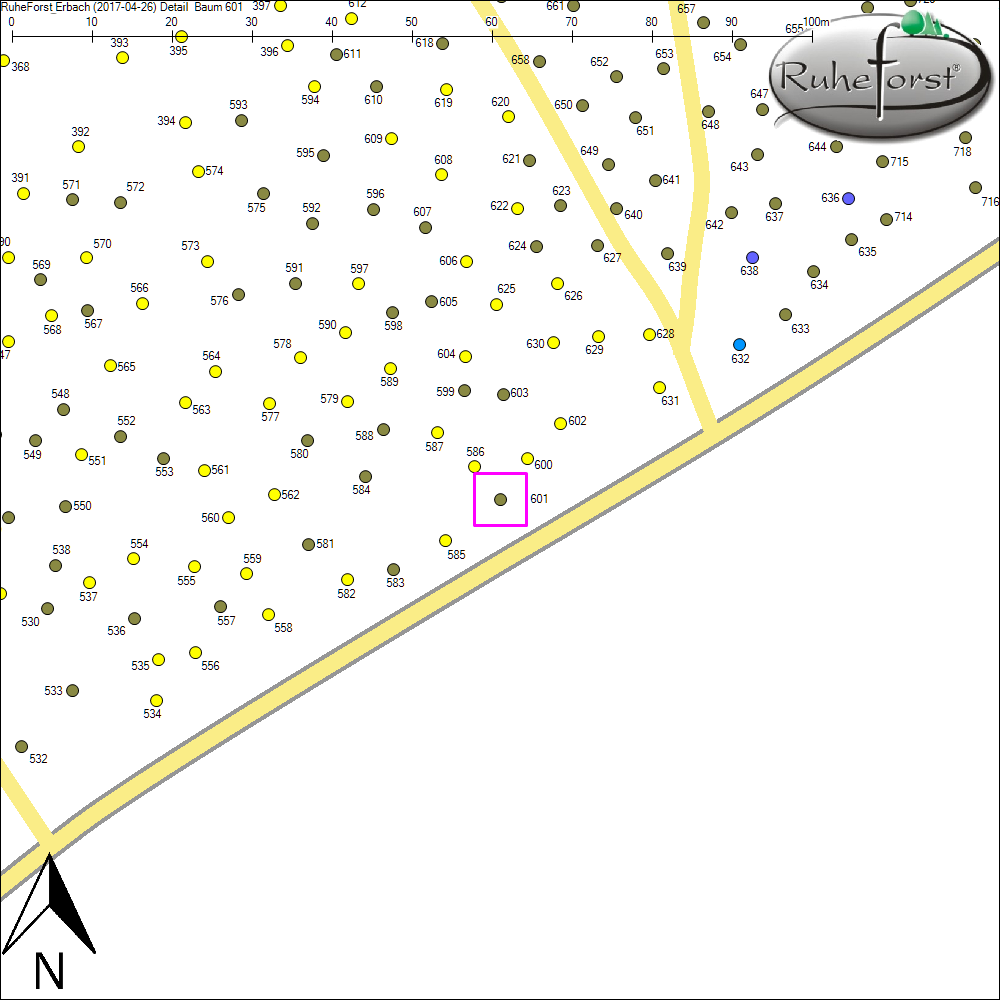 Detailkarte zu Baum 601
