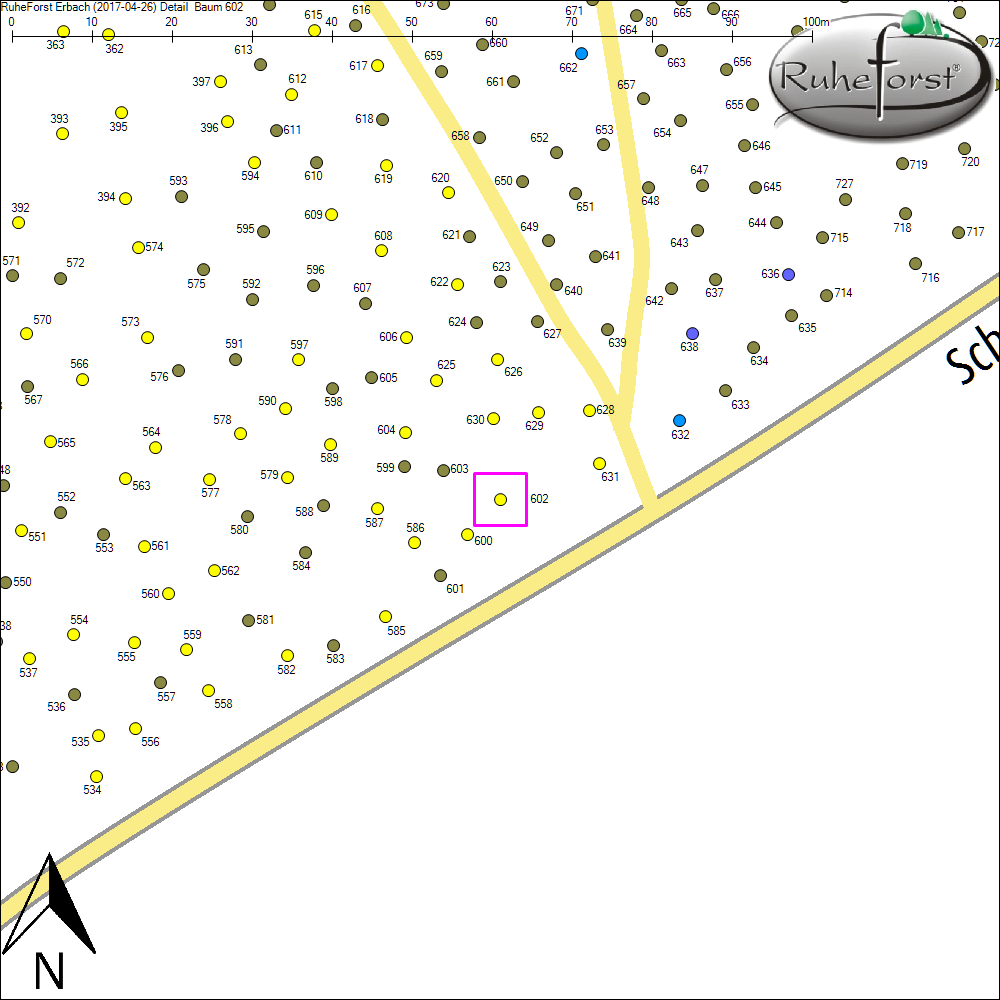 Detailkarte zu Baum 602
