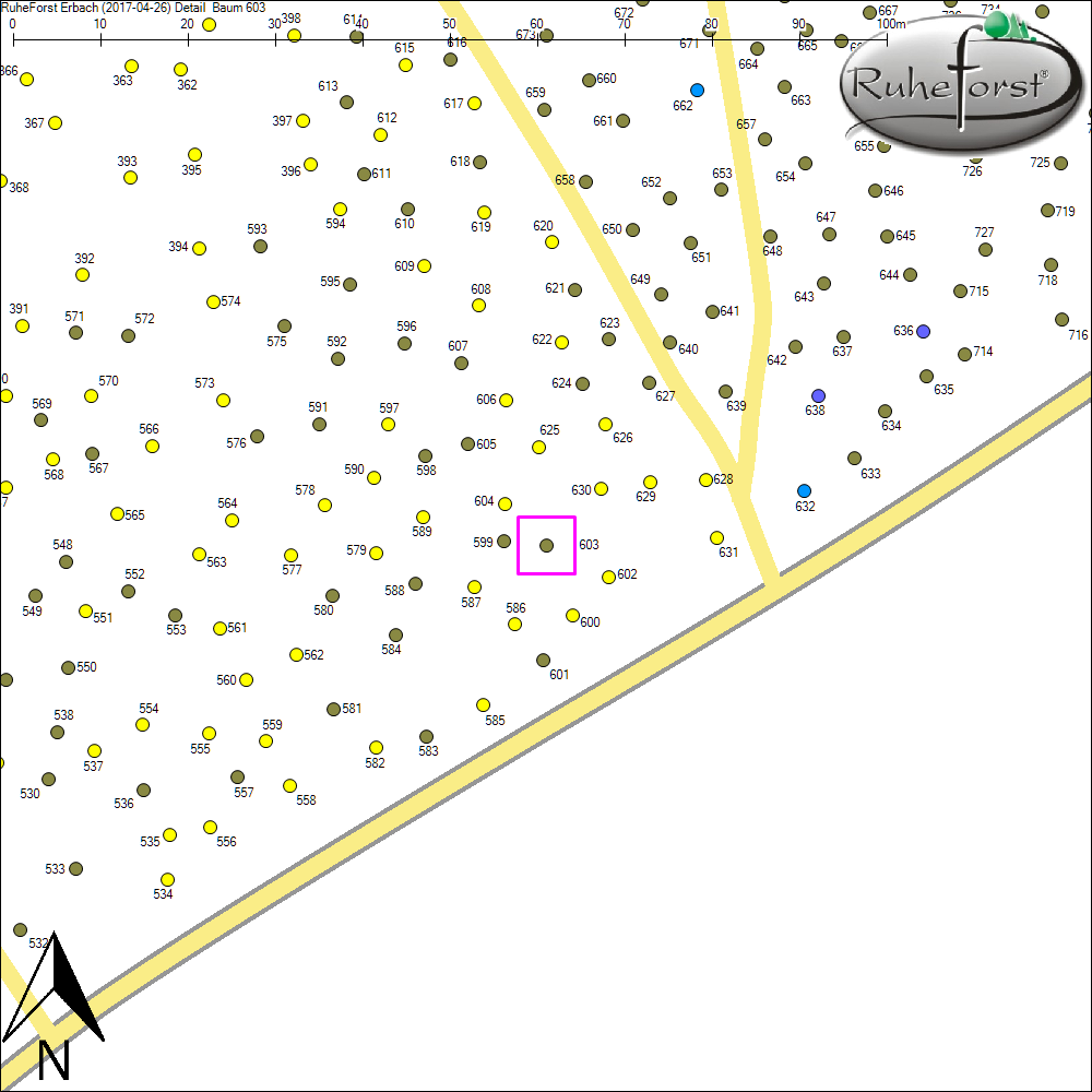 Detailkarte zu Baum 603