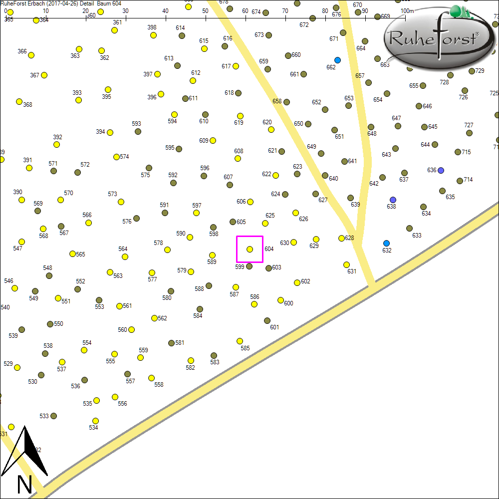 Detailkarte zu Baum 604