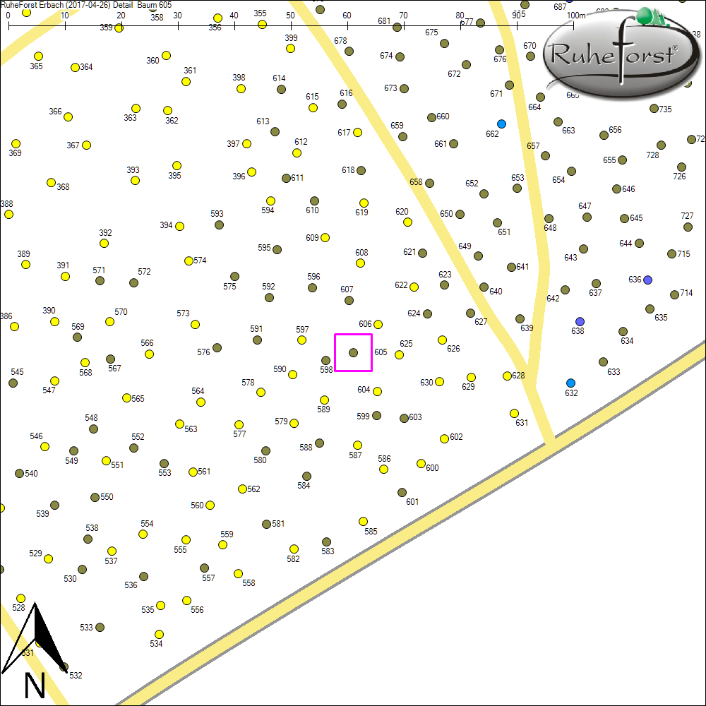 Detailkarte zu Baum 605
