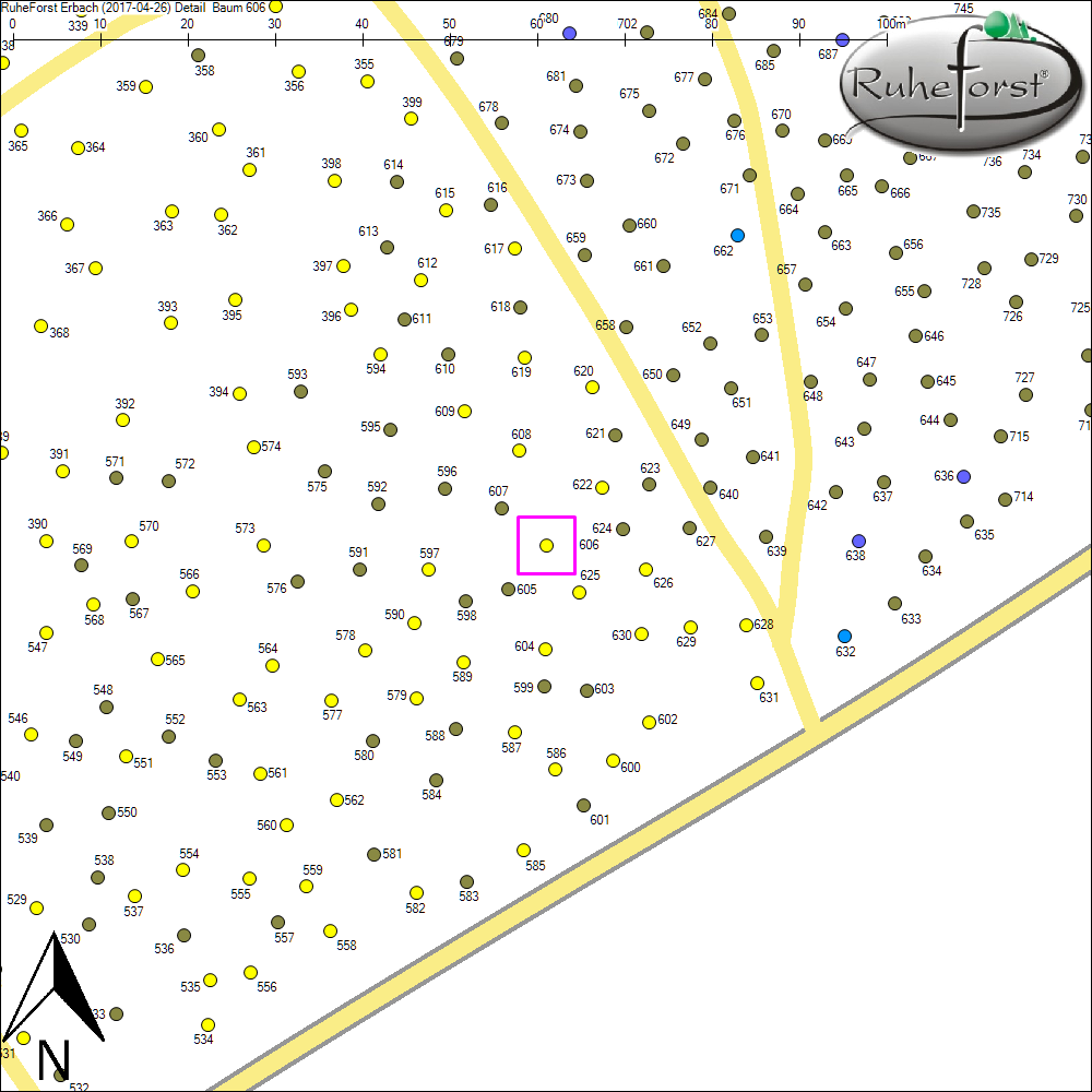 Detailkarte zu Baum 606