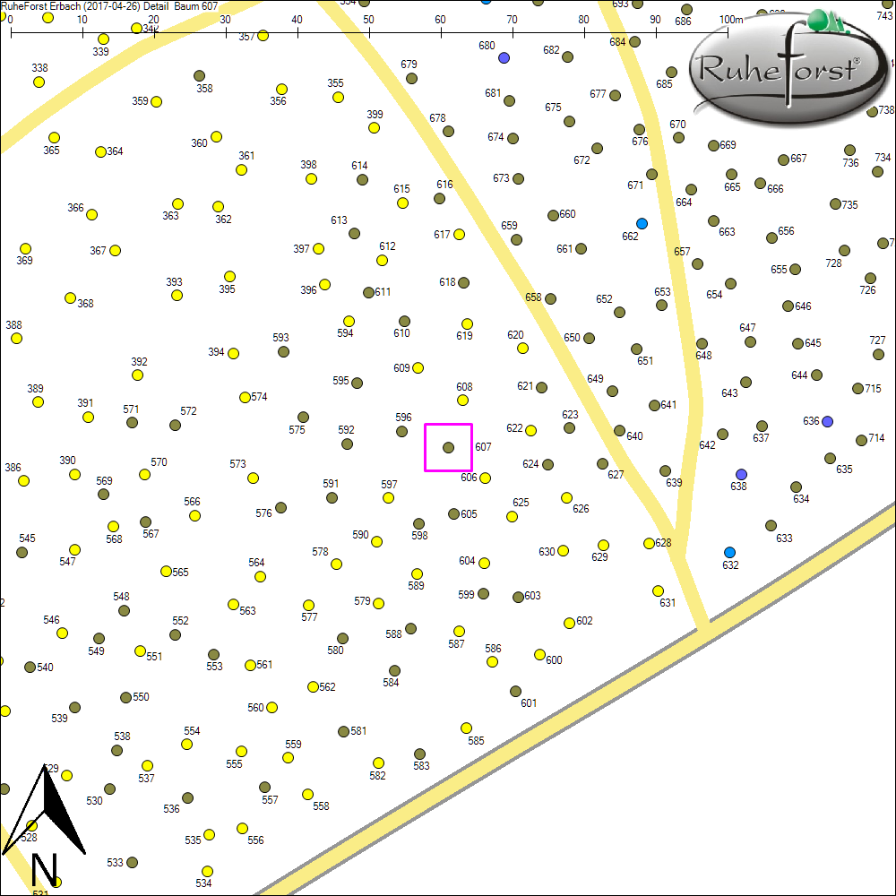 Detailkarte zu Baum 607