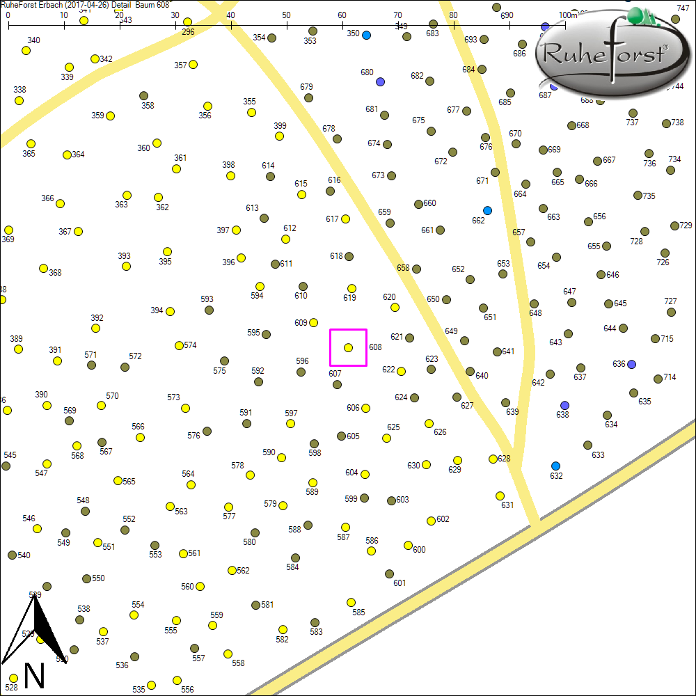 Detailkarte zu Baum 608