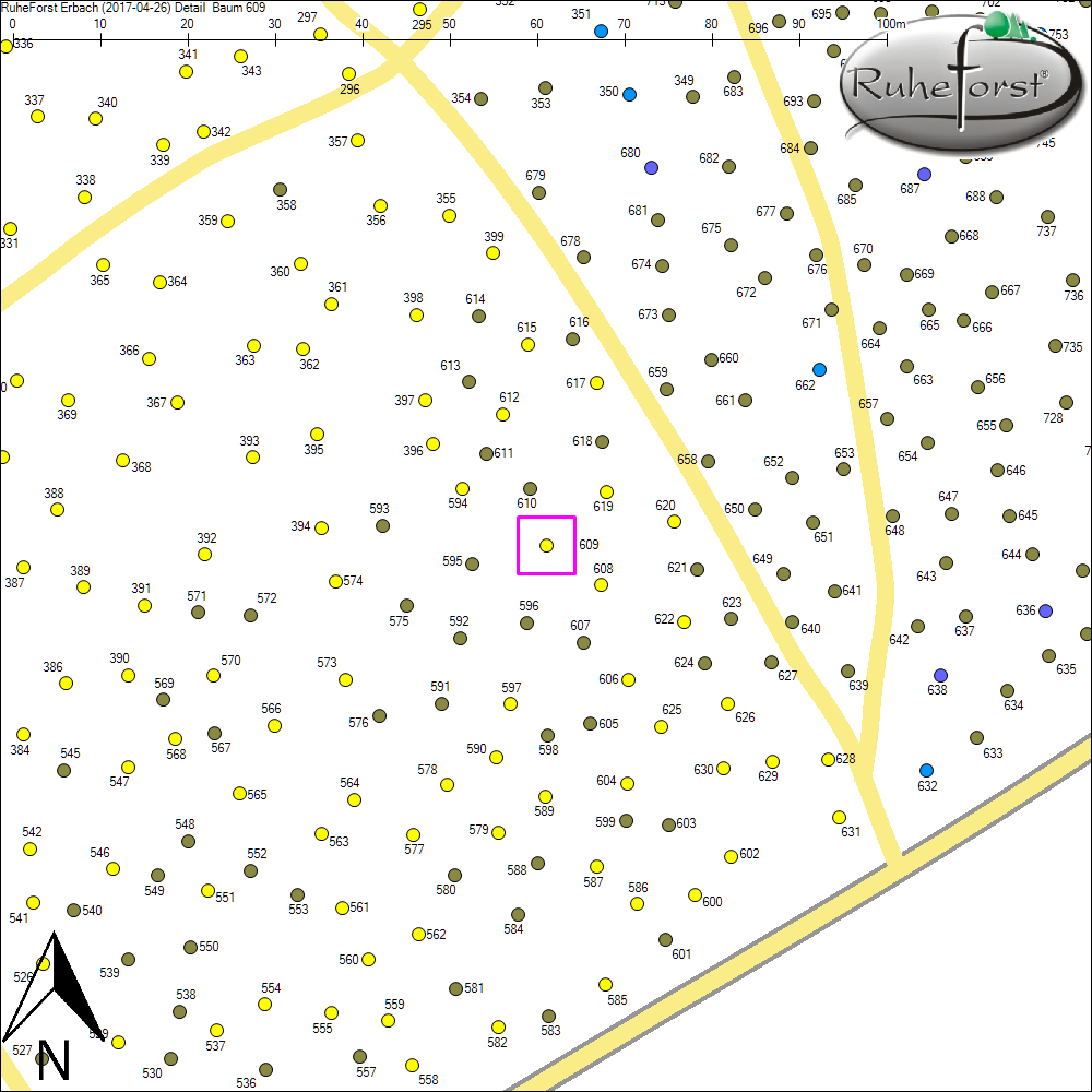 Detailkarte zu Baum 609