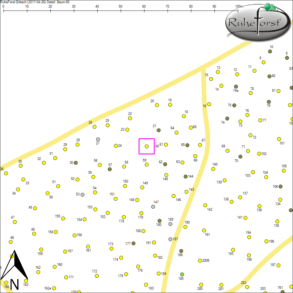 Detailkarte zu Baum 60
