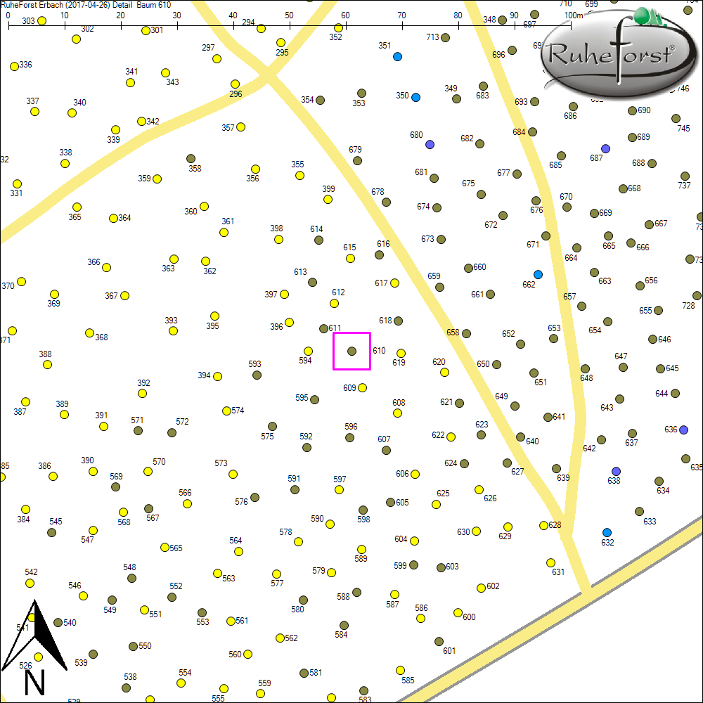 Detailkarte zu Baum 610