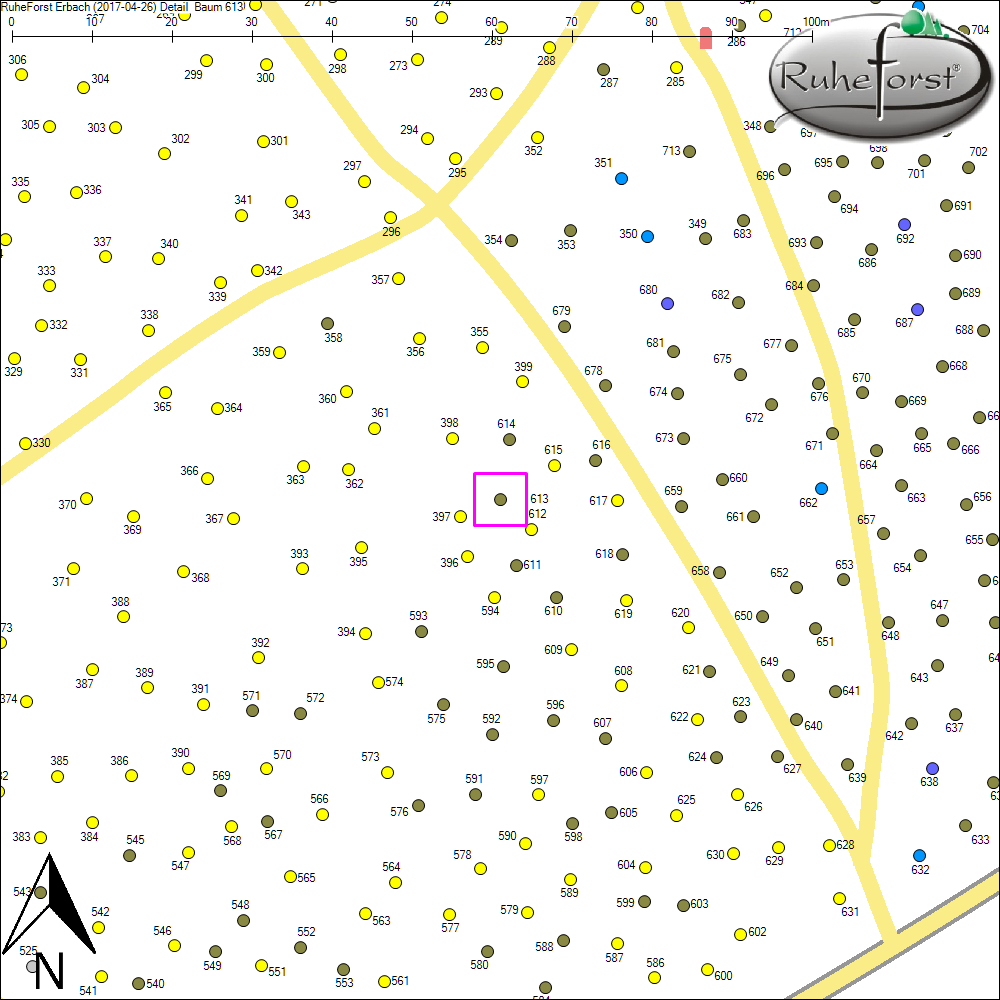 Detailkarte zu Baum 613