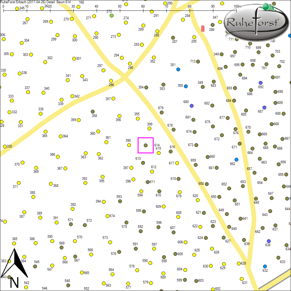 Detailkarte zu Baum 614