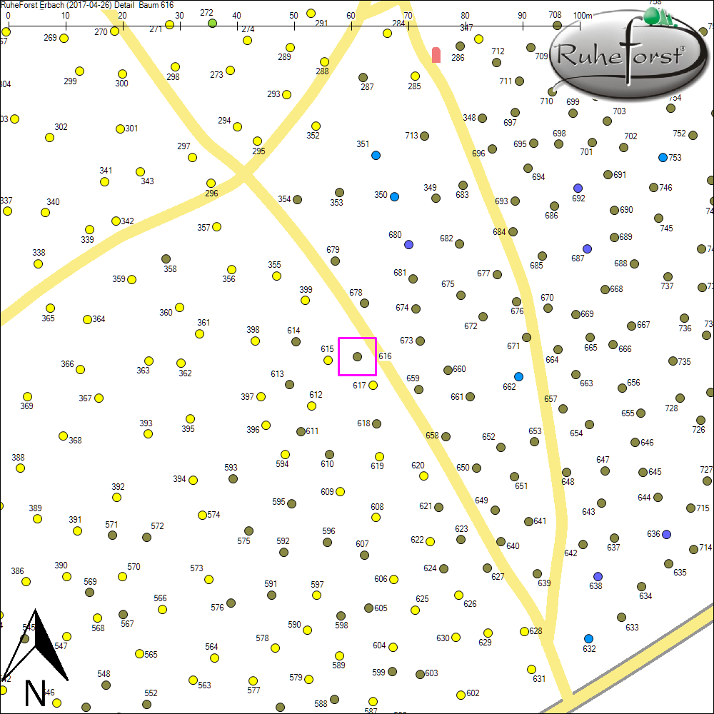 Detailkarte zu Baum 616
