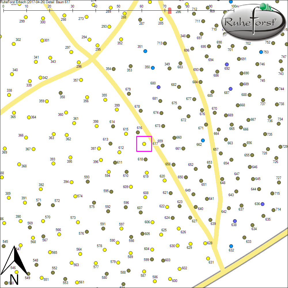 Detailkarte zu Baum 617