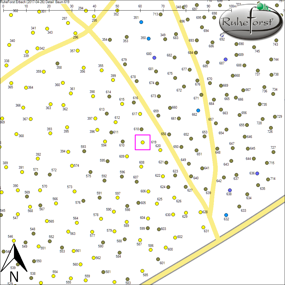 Detailkarte zu Baum 619