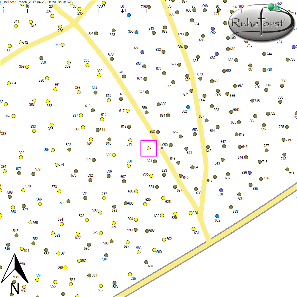 Detailkarte zu Baum 620