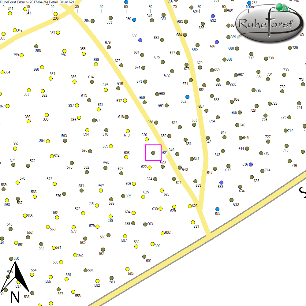 Detailkarte zu Baum 621