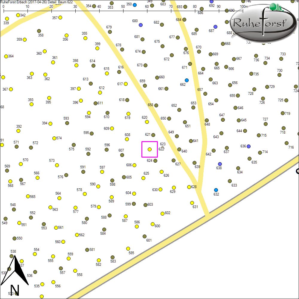Detailkarte zu Baum 622