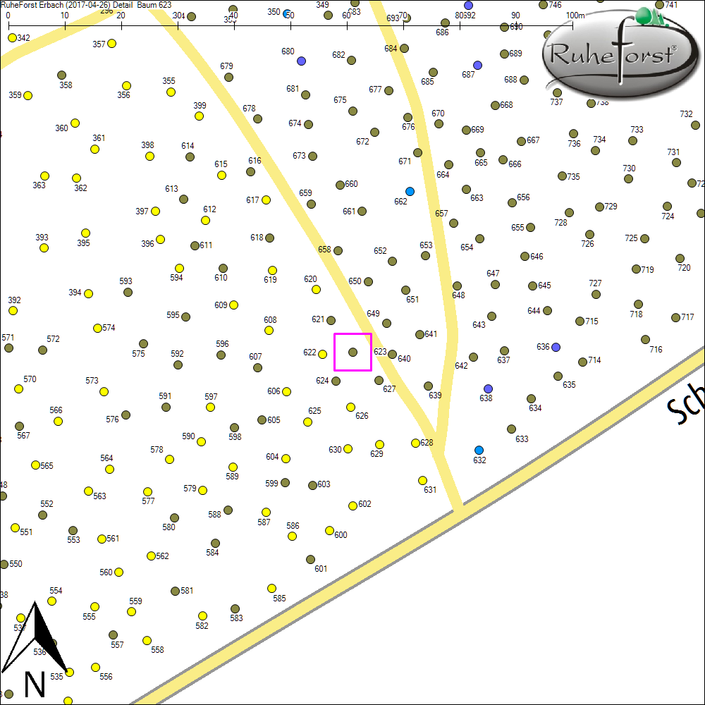 Detailkarte zu Baum 623