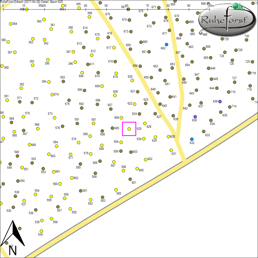 Detailkarte zu Baum 625