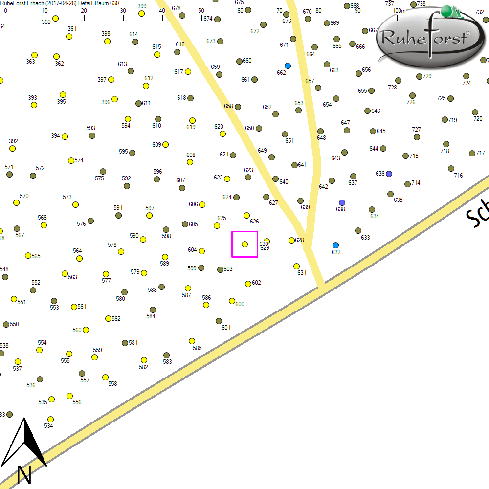 Detailkarte zu Baum 630