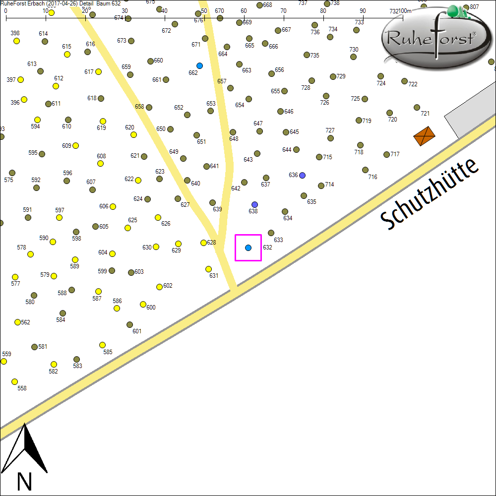 Detailkarte zu Baum 632