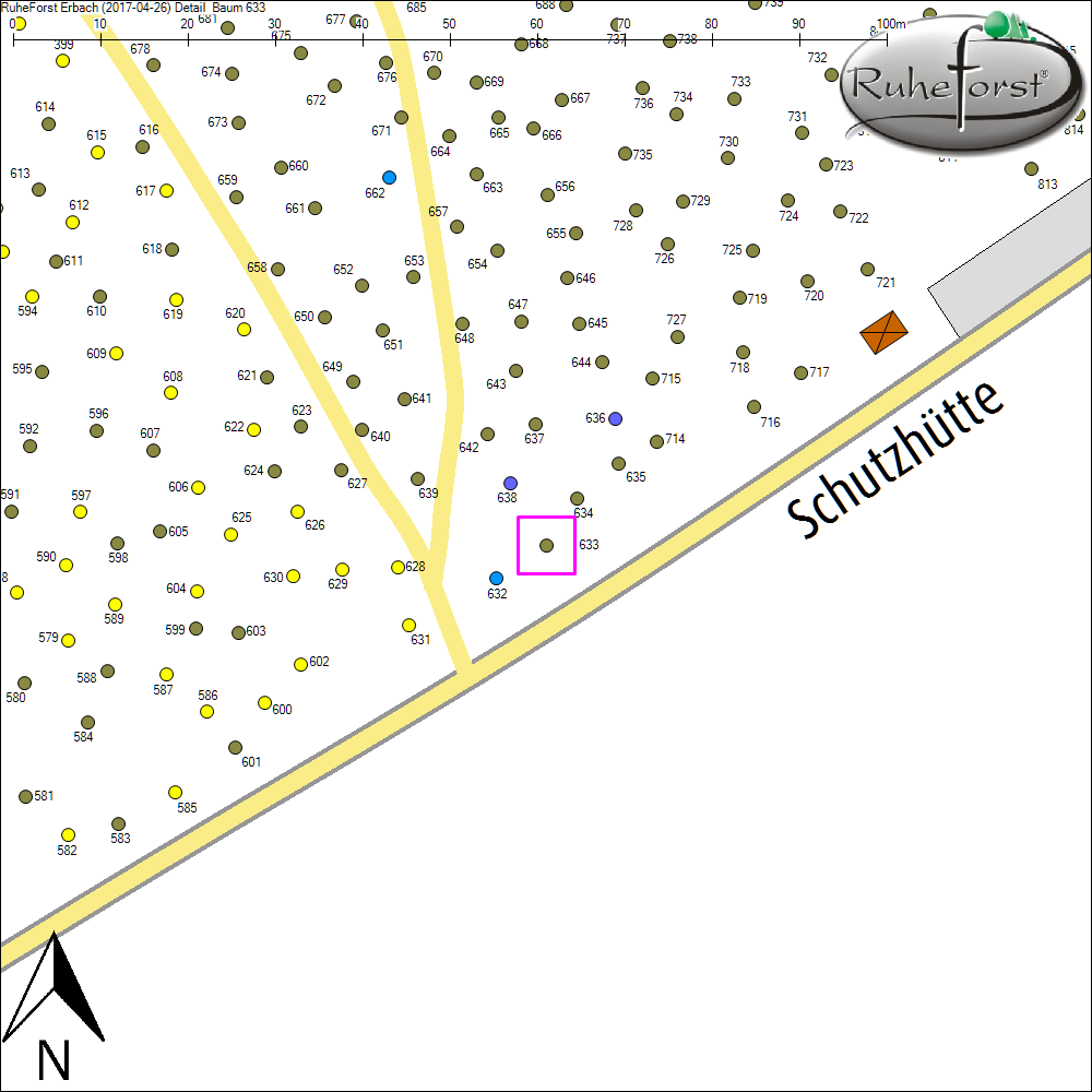 Detailkarte zu Baum 633