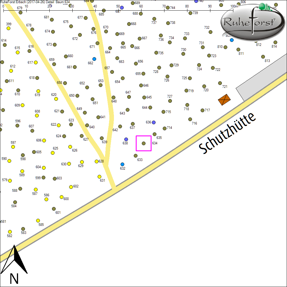 Detailkarte zu Baum 634