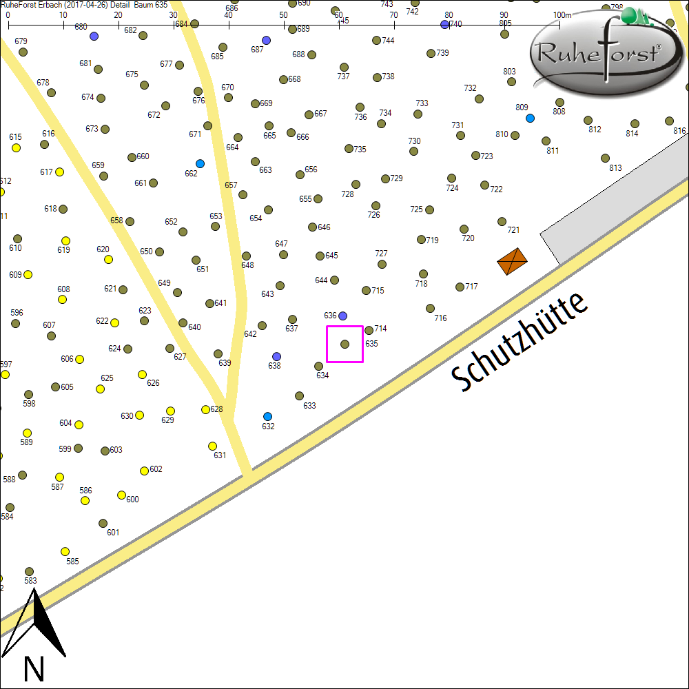 Detailkarte zu Baum 635