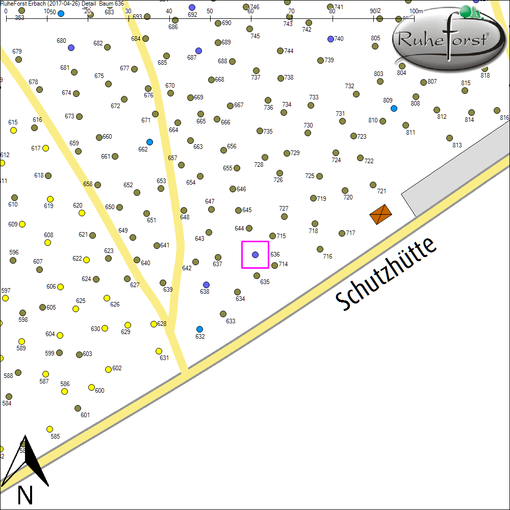 Detailkarte zu Baum 636