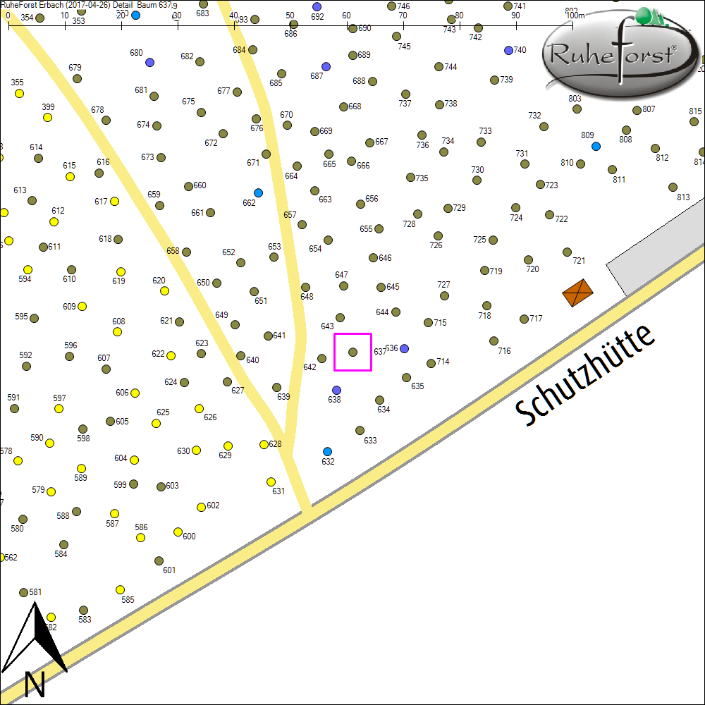 Detailkarte zu Baum 637