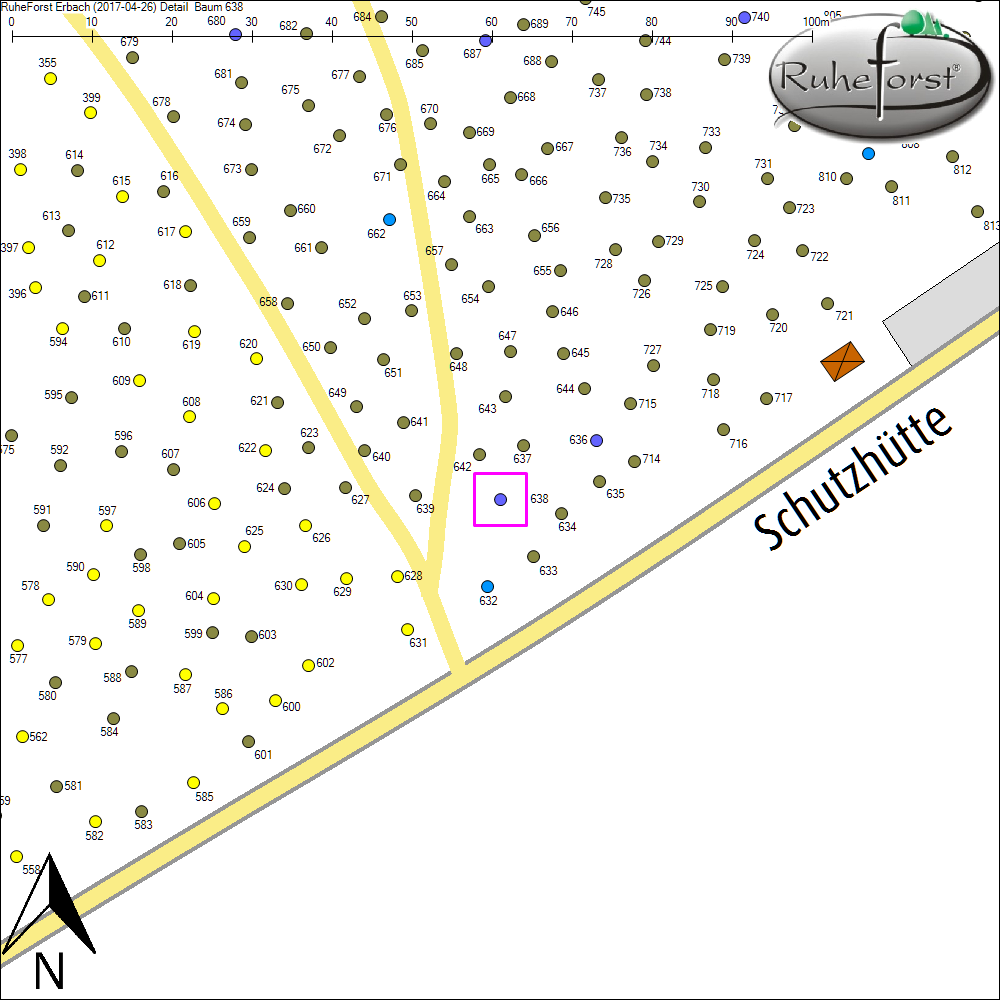 Detailkarte zu Baum 638
