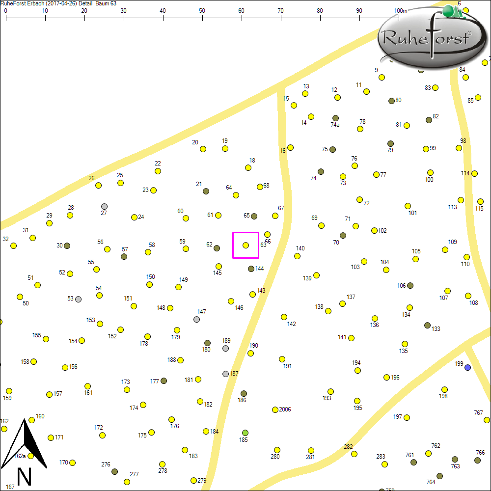 Detailkarte zu Baum 63