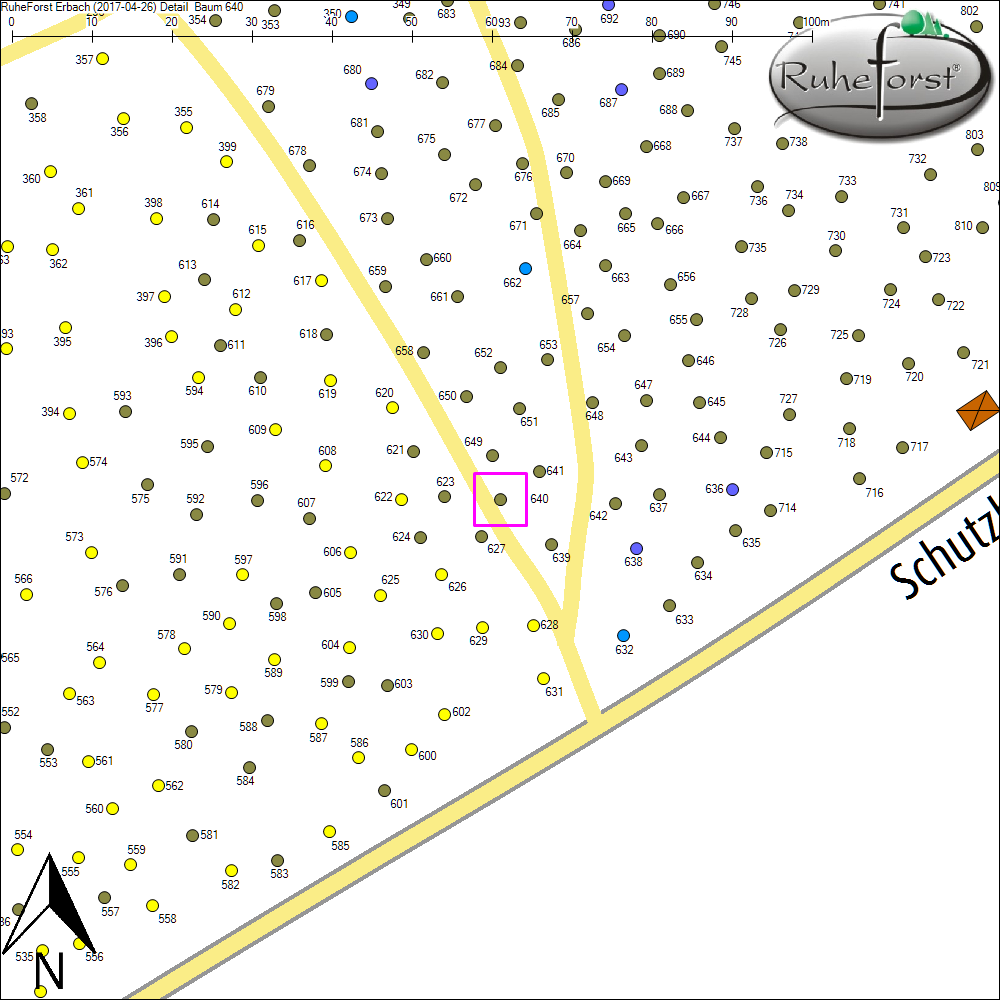 Detailkarte zu Baum 640
