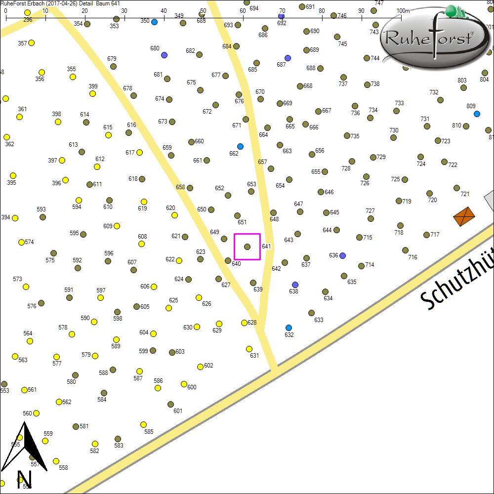 Detailkarte zu Baum 641