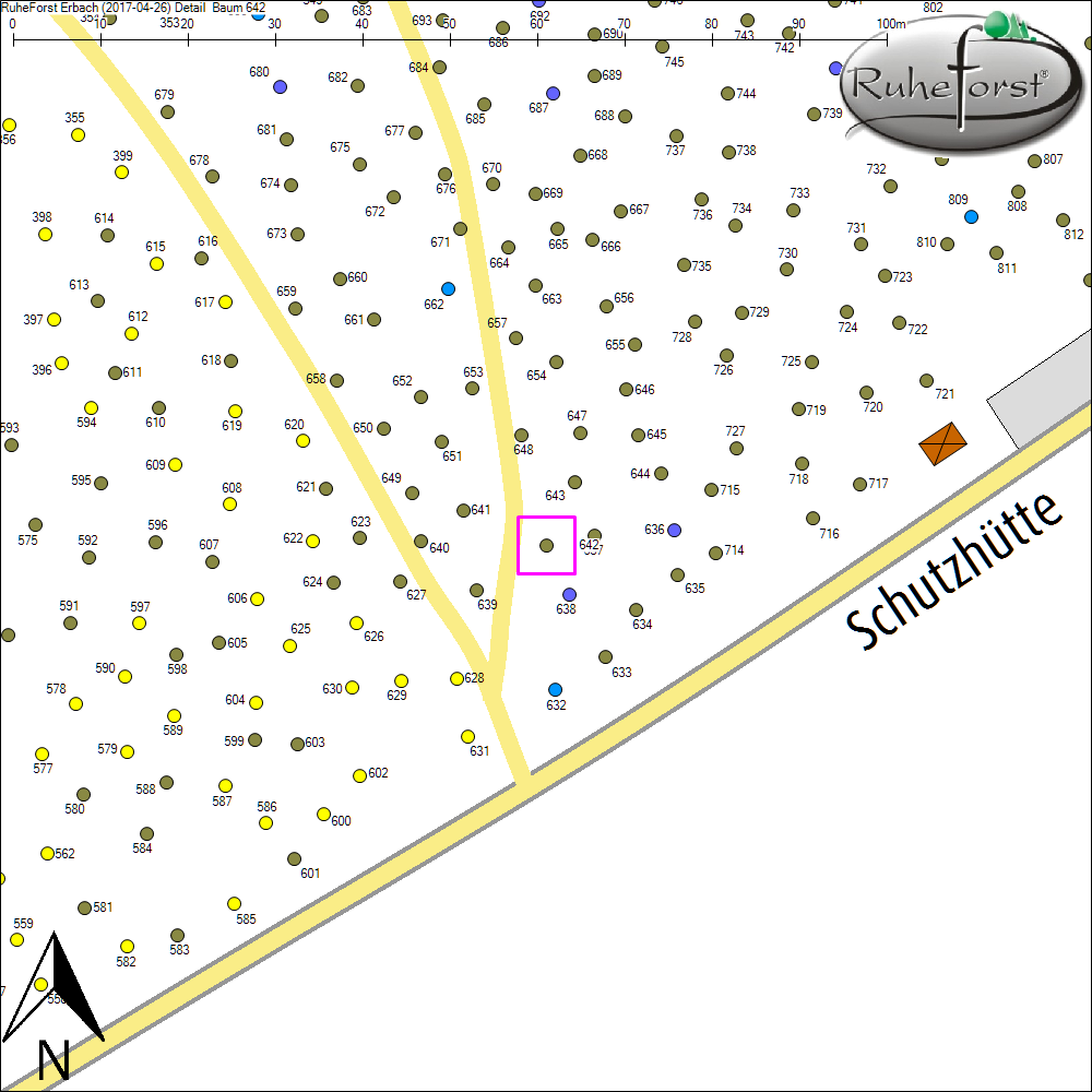 Detailkarte zu Baum 642