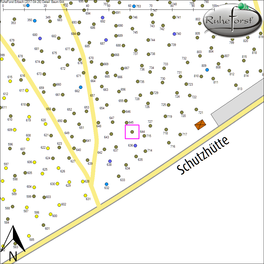 Detailkarte zu Baum 644
