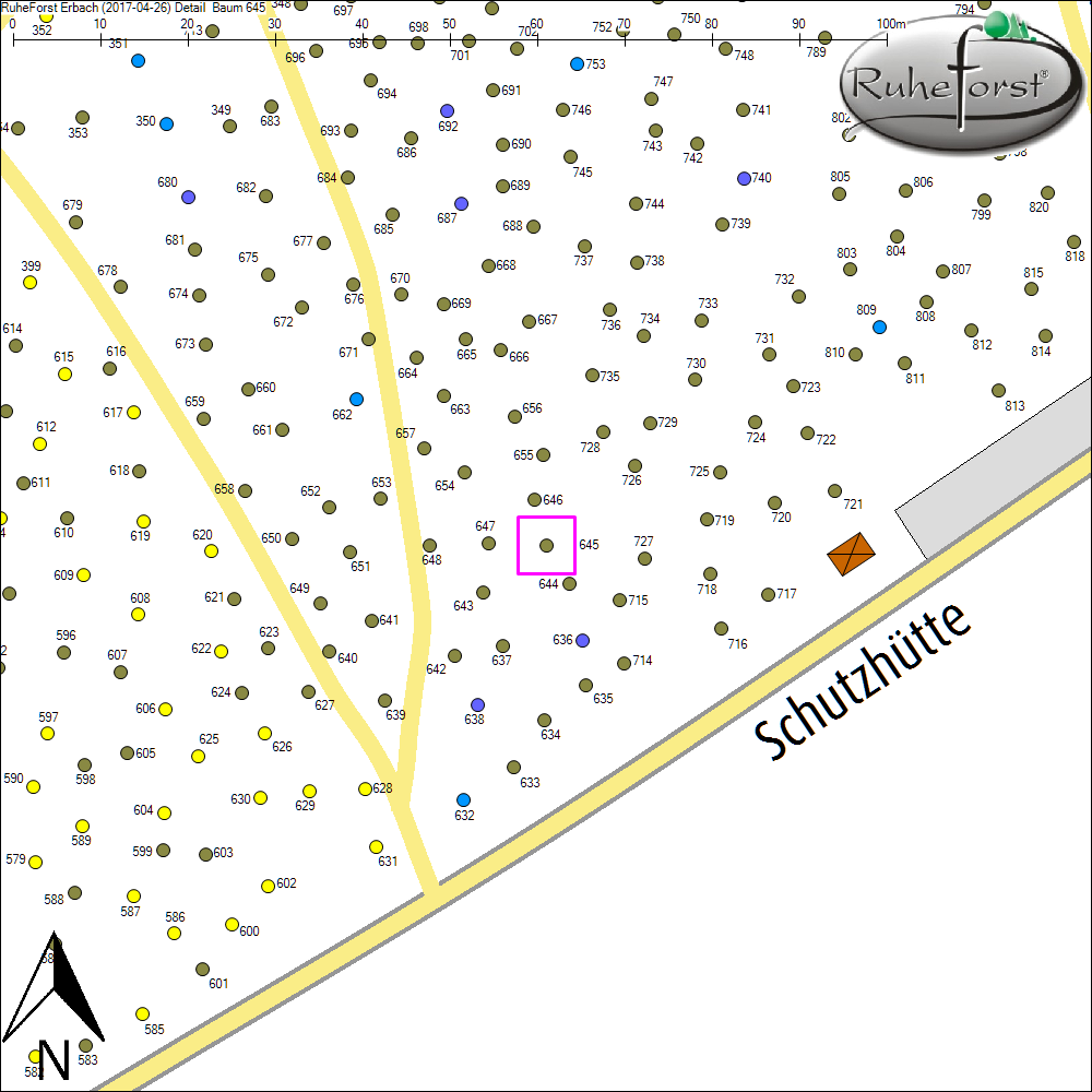 Detailkarte zu Baum 645