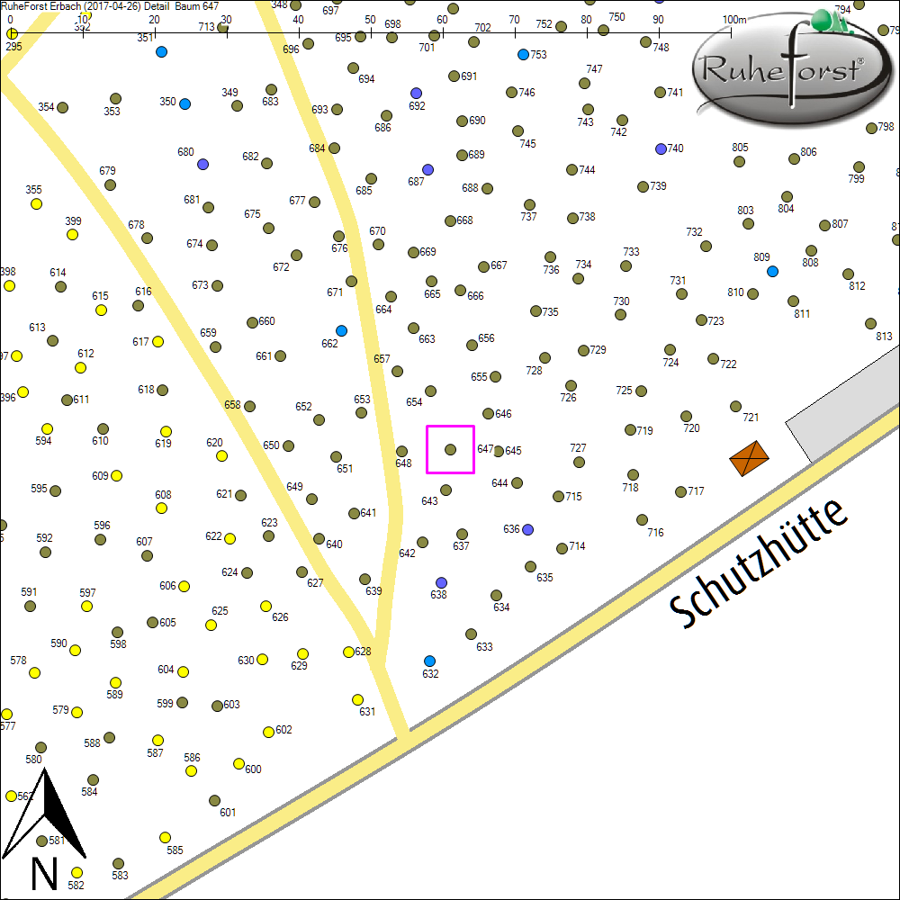 Detailkarte zu Baum 647