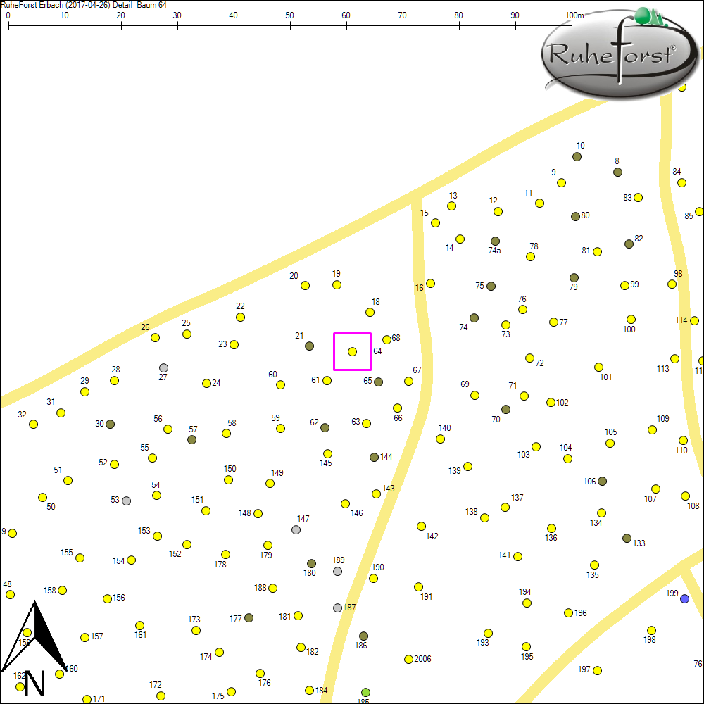 Detailkarte zu Baum 64