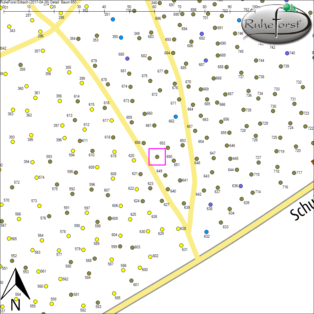 Detailkarte zu Baum 650
