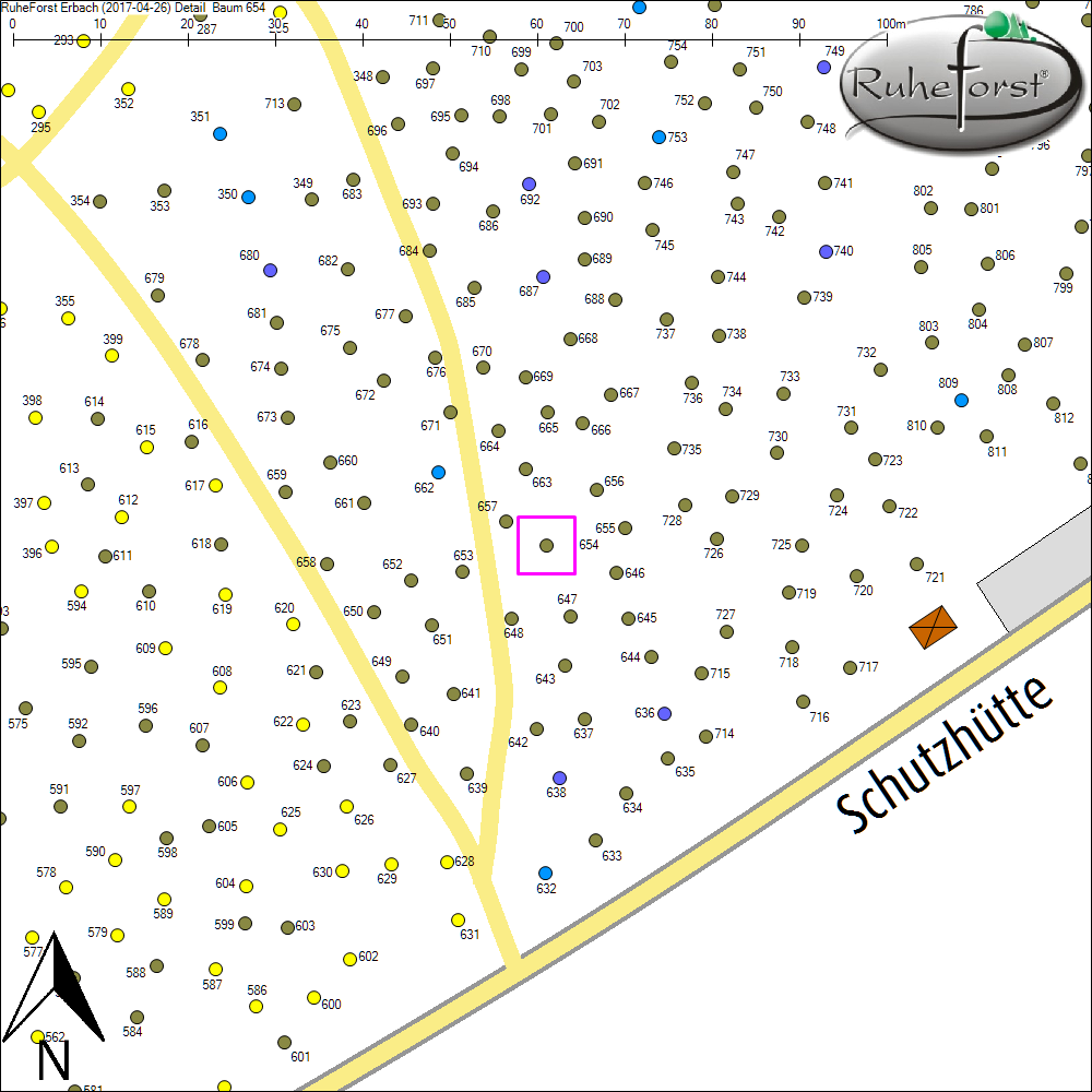 Detailkarte zu Baum 654