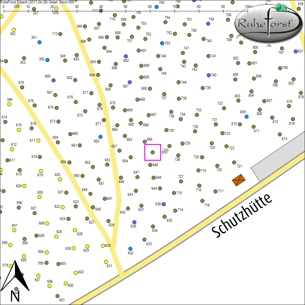 Detailkarte zu Baum 655