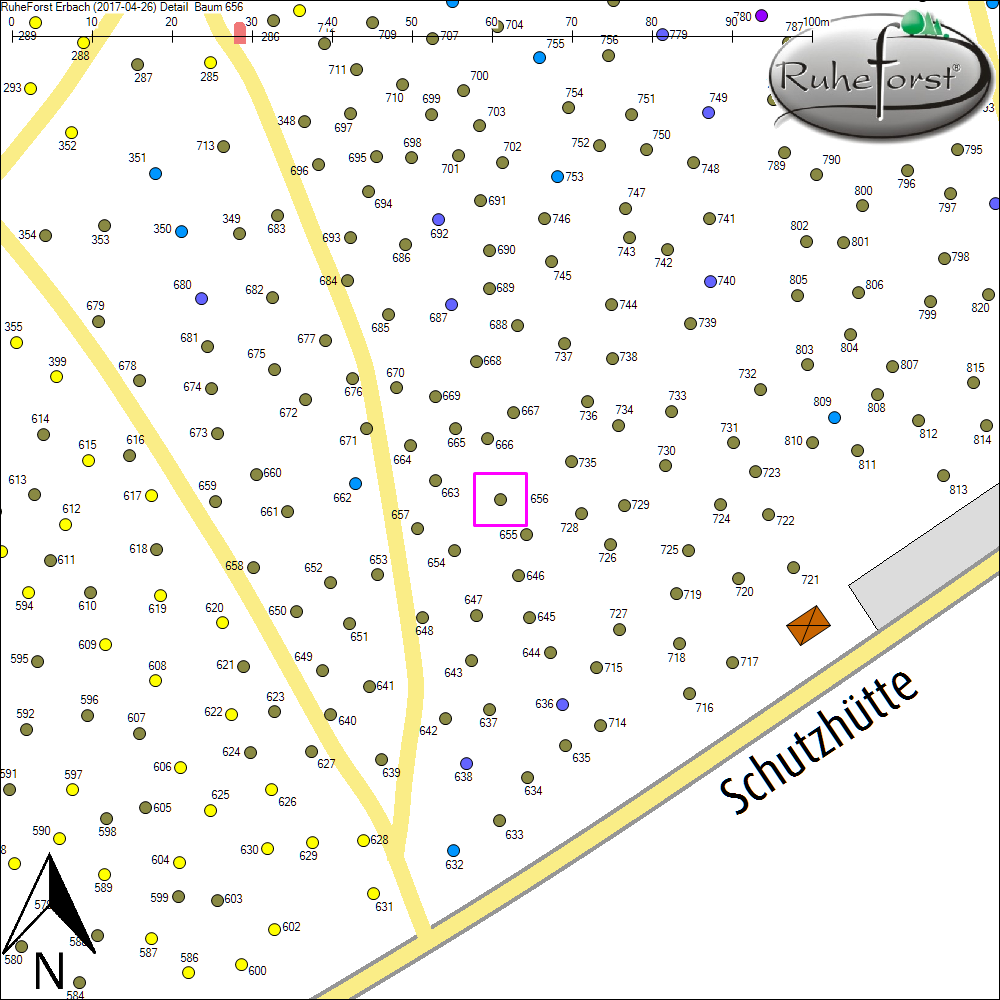Detailkarte zu Baum 656